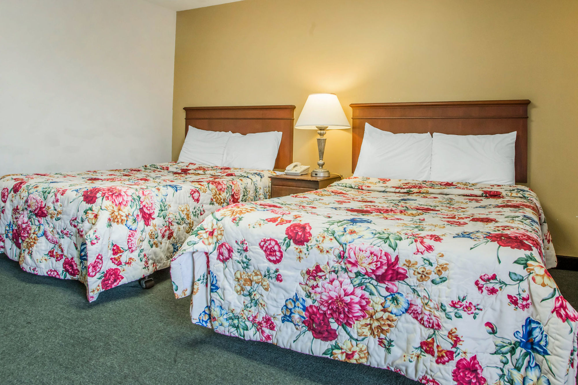 Rodeway Inn Parkway Galloway Bilik gambar